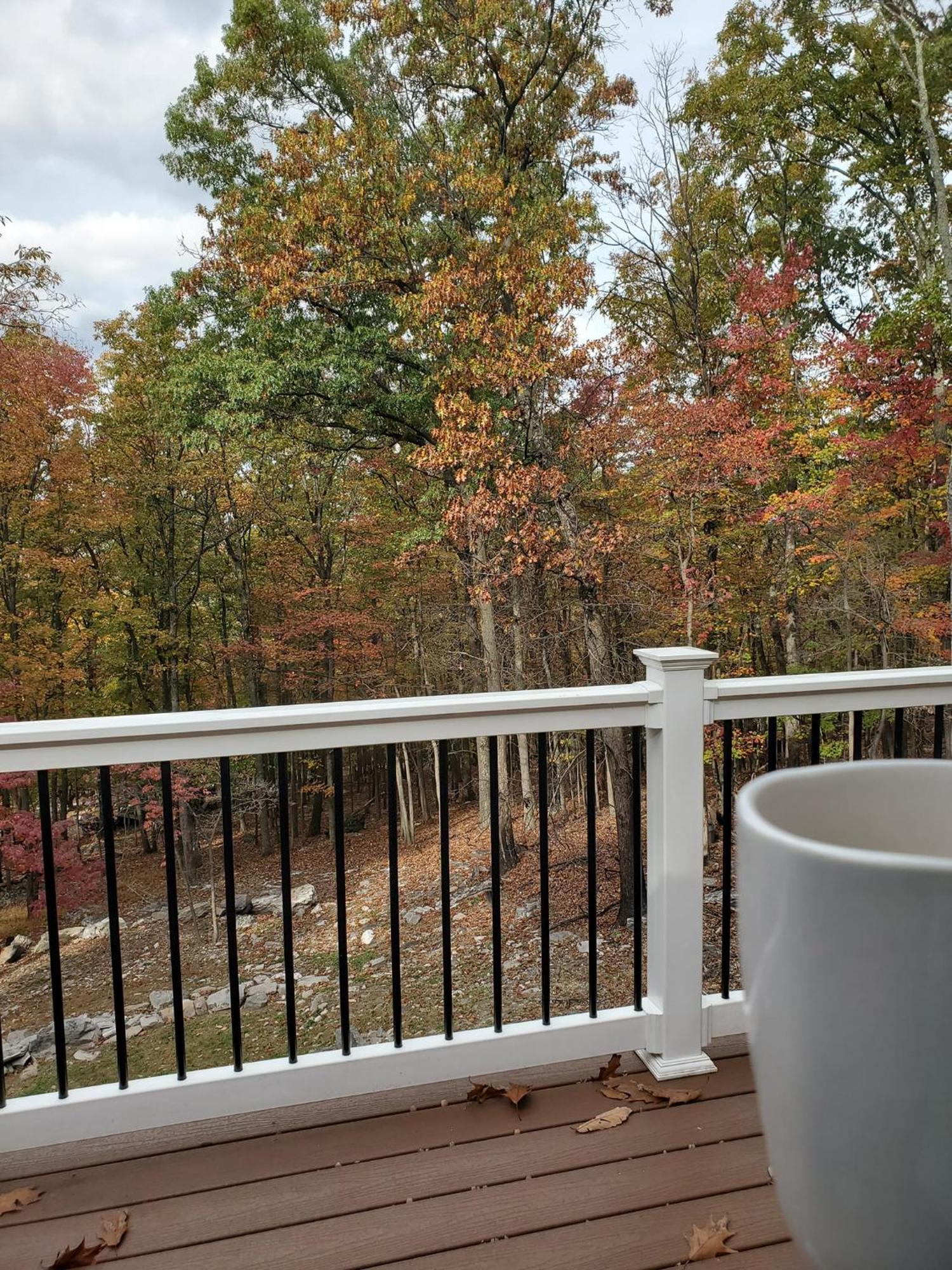 Family Friendly Mountain Cabin With Steam Shower Villa Harpers Ferry Kültér fotó